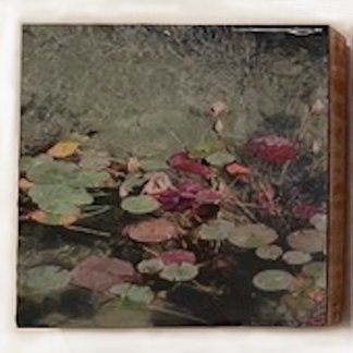 Landscapes - Four Seasons - gallery 