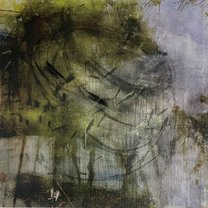 Trout Quintet - 100x100 cm | mixed media